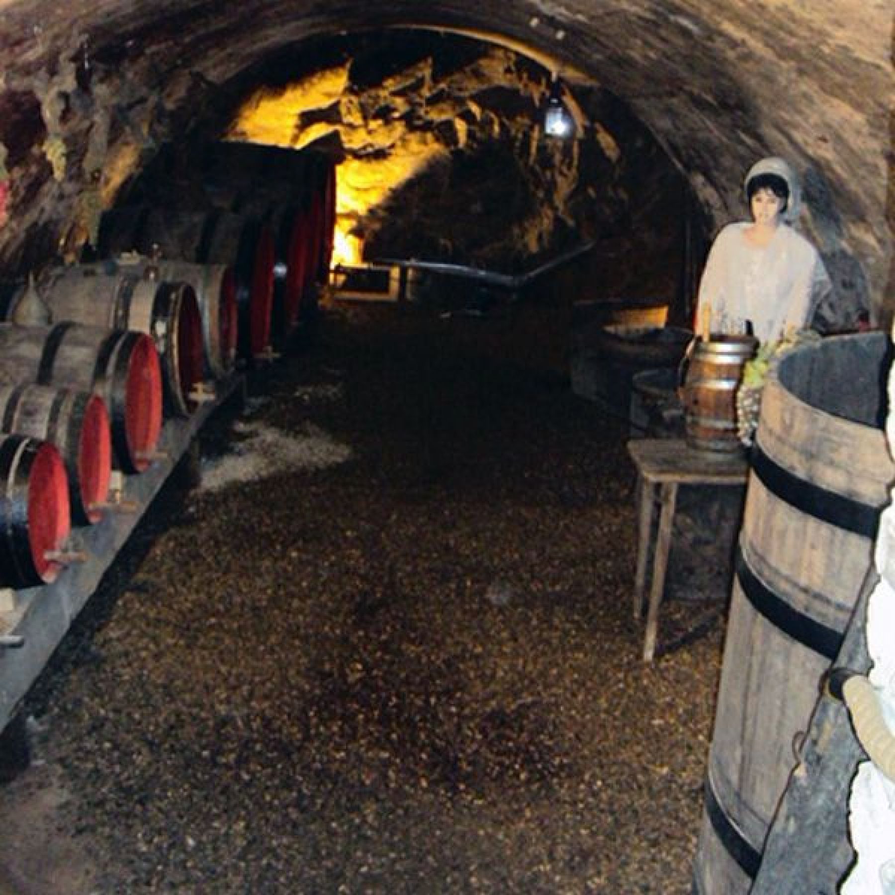 cave voutée avec tonneaux